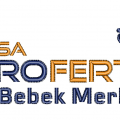 Logo Klişe Desen Çizimi